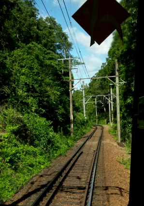 d0218056_551518.jpg