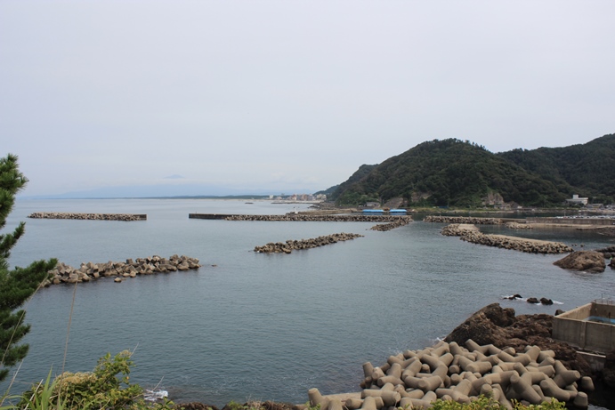 2014.9.15山形県鶴岡市　加茂水族館_e0239458_23282183.jpg