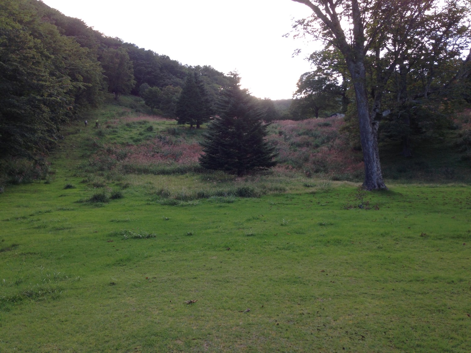 d0161959_1464610.jpg