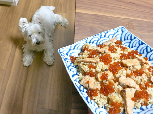 今シーズン初「はらこめし」_c0260460_547538.jpg