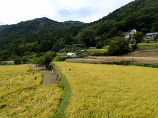 放生会　吉川八幡神社_b0296361_22175534.jpg