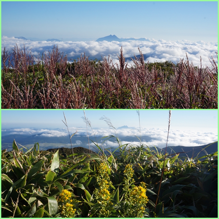 リンドウの花咲く初秋の三俣山。_f0016066_455296.jpg