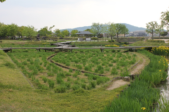 清水宗治と備中高松城跡（岡山県岡山市）_b0162268_12331023.jpg