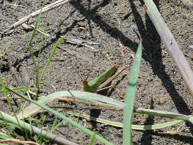 b0006870_8341246.jpg