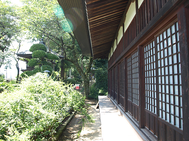 b0006870_8363499.jpg