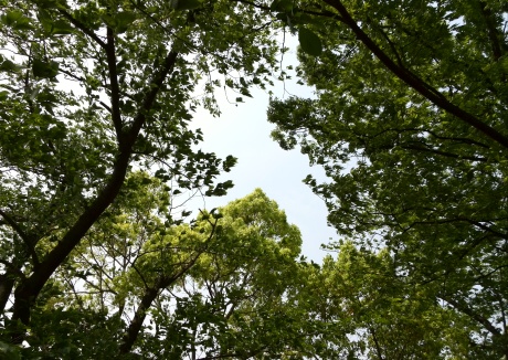 c0314772_06301180.jpg