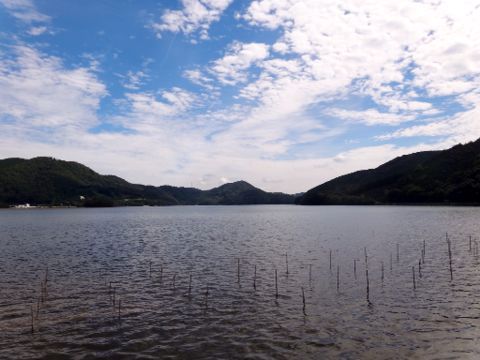 b0343681_2312725.jpg