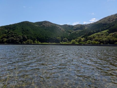 b0343681_2312973.jpg