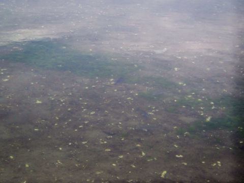 b0343681_2313239.jpg