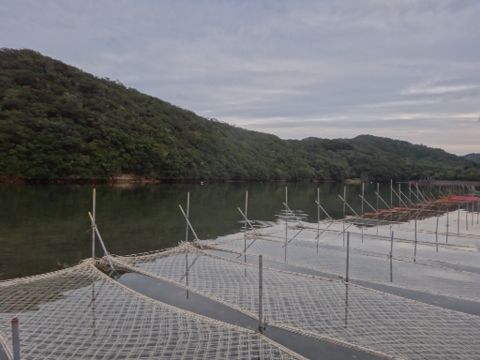b0343681_2313317.jpg