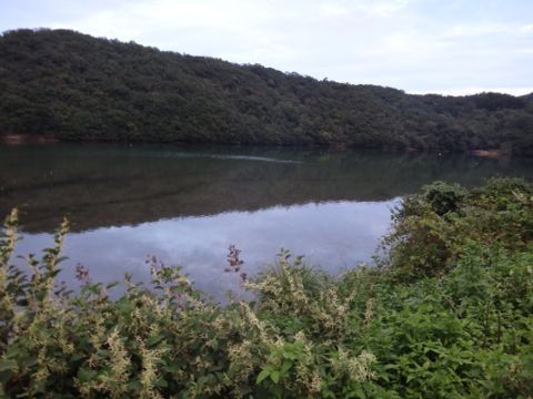 b0343681_2313531.jpg