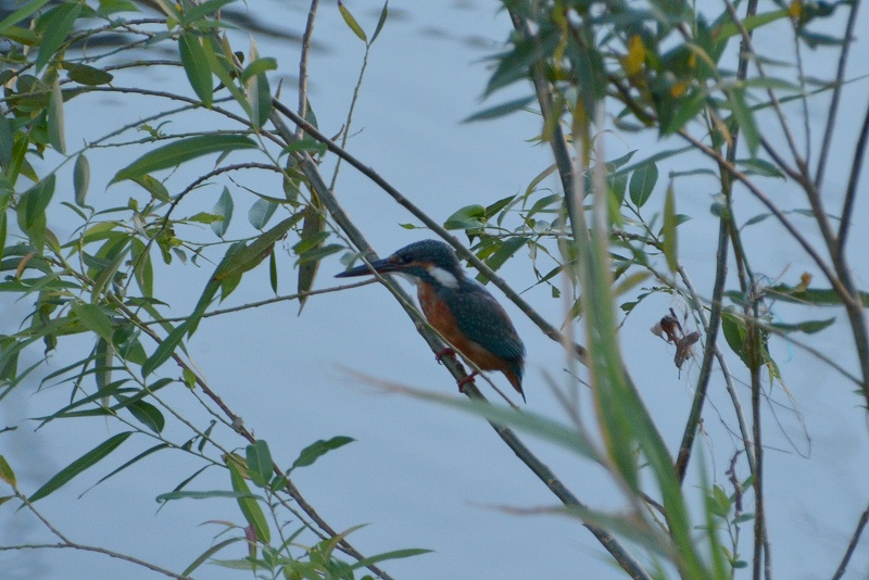 動物園_e0086887_8325499.jpg