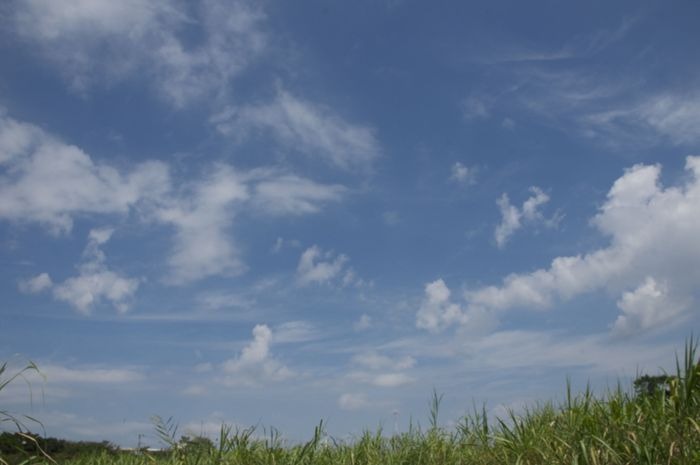 2014.09.13　空　桜草公園　埼玉県さいたま市_b0217090_941559.jpg