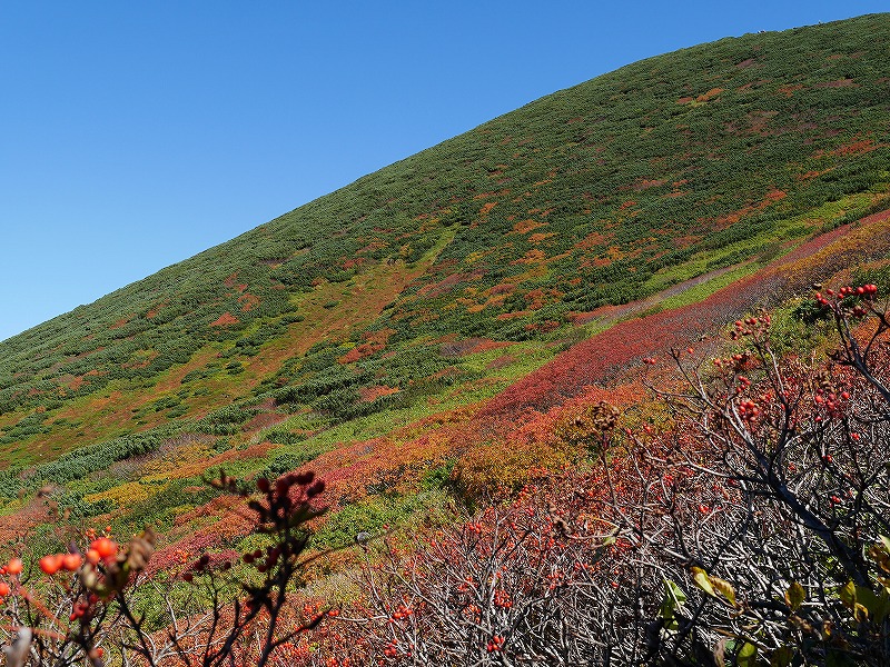 紅葉の羊蹄山 9月14日 その1 デジカメ持って野に山に 紅葉の羊蹄山 9月14日 その1 デジカメ持って野に山に