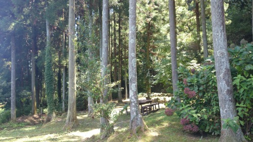 f0056297_13302026.jpg