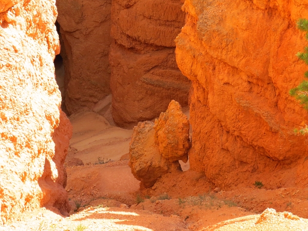 f0033598_1946313.jpg