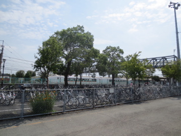 a0117599_15959.jpg
