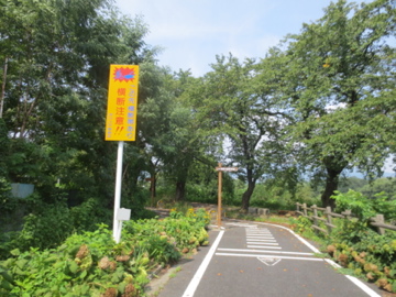 a0117599_17251.jpg