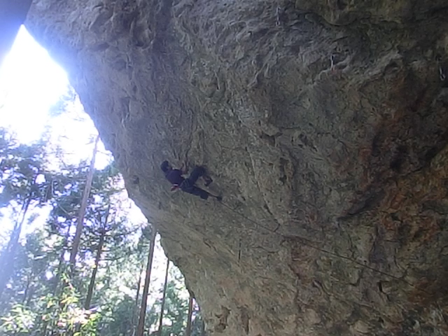 フリークライミングな関係 鳳来 鬼岩_d0151699_16511528.jpg