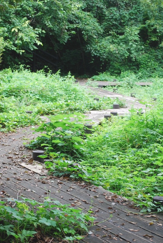 e0025300_21104738.jpg