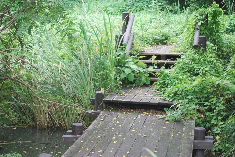 e0025300_2113019.jpg