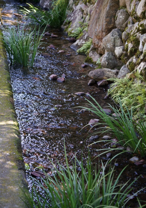 f0036603_20515392.jpg
