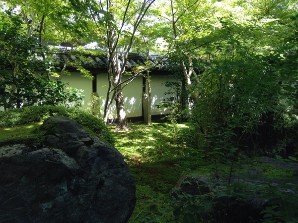 f0036603_20544639.jpg