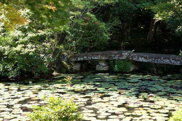 f0036603_20563095.jpg