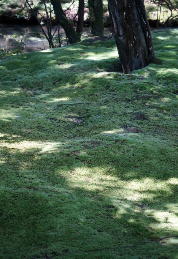 f0036603_20575178.jpg