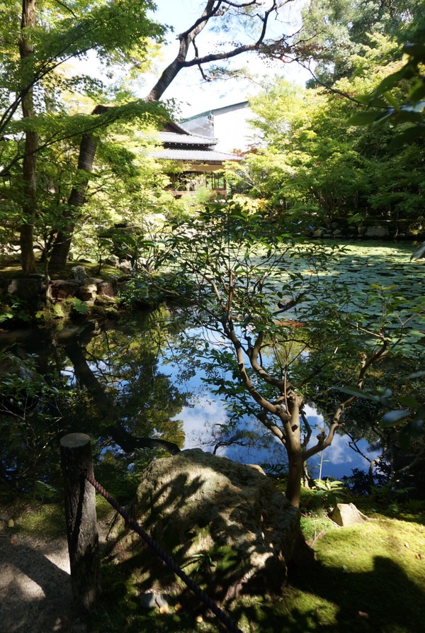 f0036603_216210.jpg