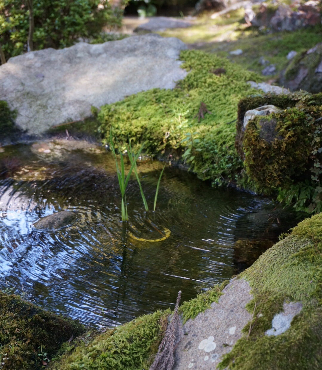 f0036603_2163457.jpg