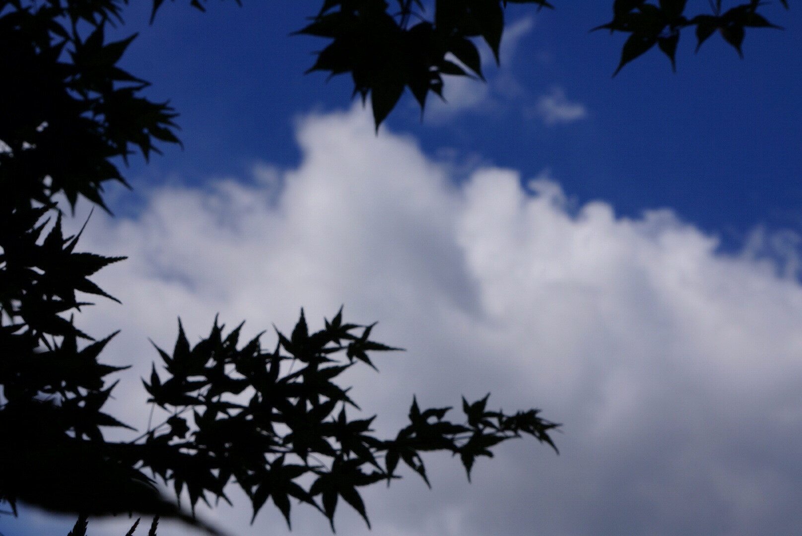 f0036603_2195114.jpg