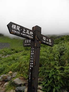 d0032405_6234220.jpg