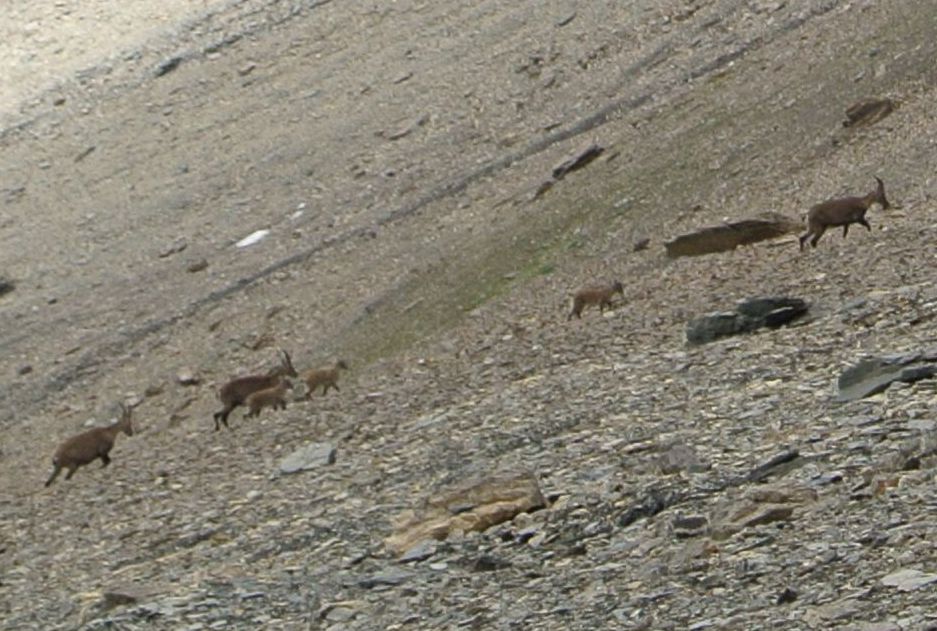 c0242406_942392.jpg
