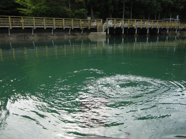 c0242706_2242581.jpg