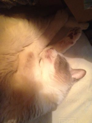 ゆれました_e0239908_153747.jpg