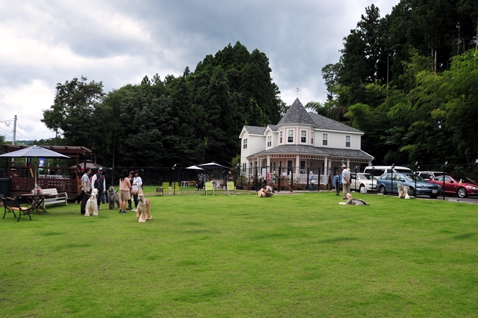 d0179113_21563193.jpg