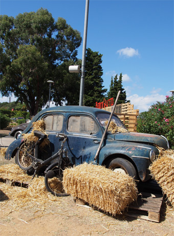 Borm\'Auto_d0062721_7202917.jpg