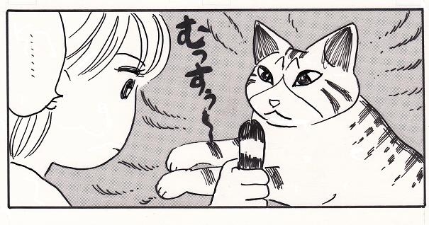 猫で遊ぼう_b0224728_13472396.jpg