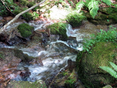 c0038434_2149672.jpg