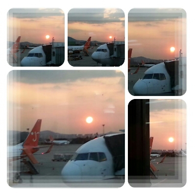 d0219834_539392.jpg