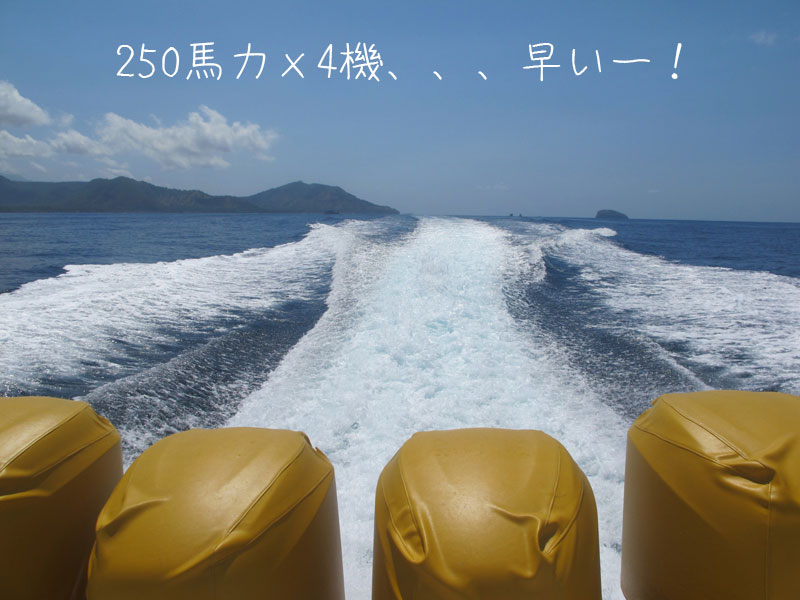 ロンボク-バリ　スピードボート体験（オンバック　ギリ　編）_a0310535_1505612.jpg