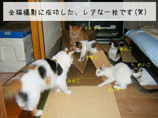 f0008935_16482467.jpg