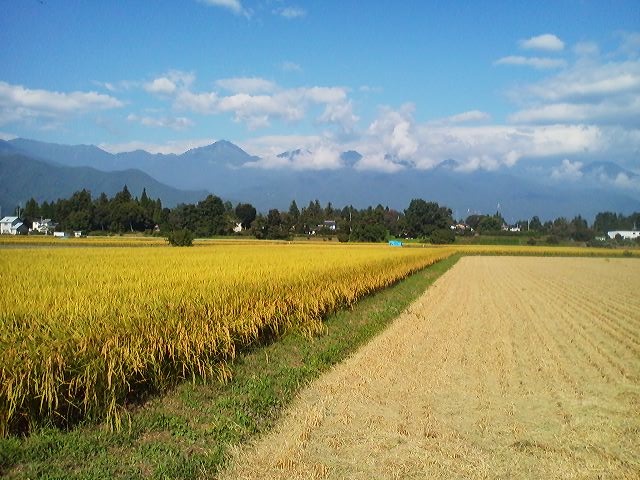 a0272241_912810.jpg