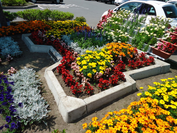 第２２回 学校花壇コンクール受賞校をご紹介します 函館市住宅都市施設公社 スタッフブログ