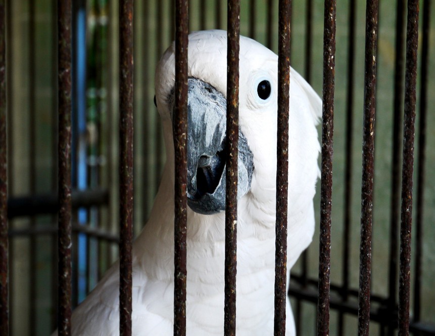 　　和歌山公園動物園_b0093754_18172387.jpg