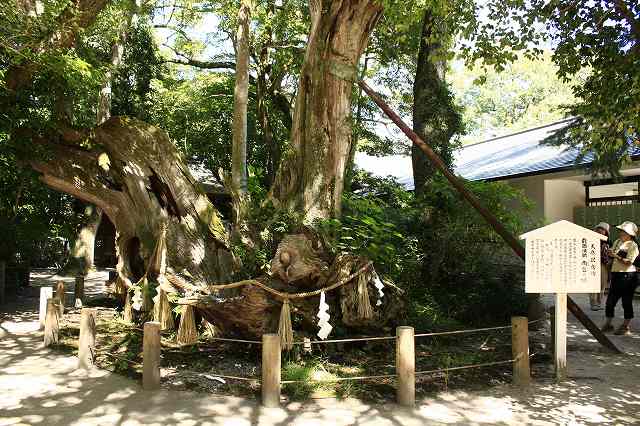 ９月１４日　大山祇神社のお祭_f0340155_14582394.jpg