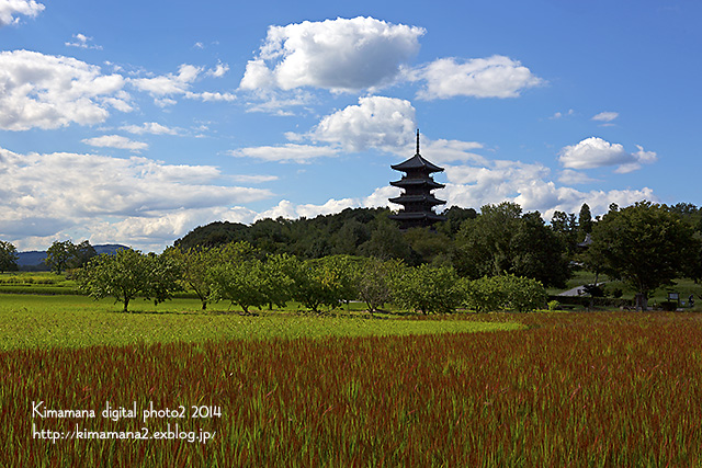 備中国分寺　9/13_f0324756_7363530.jpg