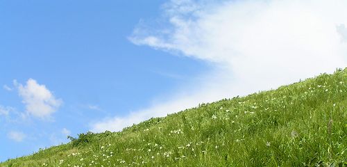 a0020763_03212.jpg