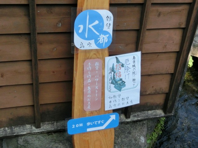 d0255763_19543945.jpg